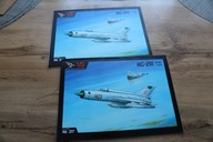 2 sztuki Polski MS Model 017 - Samolot MiG-21 R 1:33
