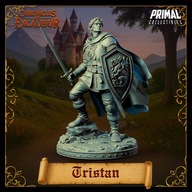 Tristan - CoE - figurka RPG DnD D&D - druk 3D 14K