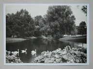 Szczecin. Park Jana Kasprowicza 1963r