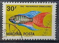 Ryby (kas) - luzak - do uzupełnień 13/8