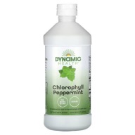 CHLOROFIL Dynamic Health, Chlorophyll, Peppermint, 16 fl oz (473 ml)