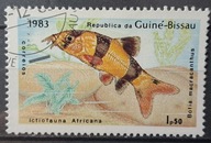 Ryby (kas) - luzak - do uzupełnień 13/8