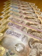 Zestaw banknotów testowych PWPW Potęga Podłoża - Polskie Żubry