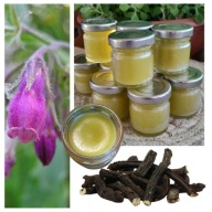 MAZIDEŁKO Z ŻYWOKOSTU Z GOJNIKIEM REGENARACJA KOŚCI STAWÓW ZŁAMANIA URAZY