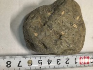 Agat mszysty muszlowy