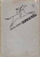Galopen na przełaj M. Ginter