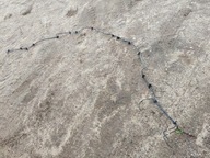 PRZEWÓD PRZEWODY WĄŻ HAMULCOWY ABS FORD F150 15+