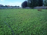 Działka, Paczkowo, Swarzędz, Poznański, 918 m²