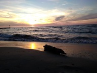 złoty platynowy numer 799111111