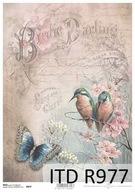 ITD papier ryżowy A4 * PTAKI Birdie Darling * R977