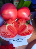 Pomidor Amana Pink wyśmienite bawole serce malinowe nasiona kolekcjonerskie