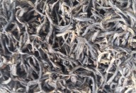 TEA Planet - Herbata Jin Jun Mei Złote brwi - 50 g