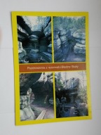 GÓRY STOŁOWE - rezerwat Błędne Skały - pocztówka