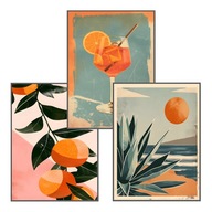 Zestaw 3 plakatów, plakaty 50x70cm kuchnia, bar, aperol , pomarańcze *1955*