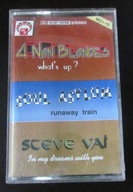 4 non blondes what's up Soul asylum Steve Vai