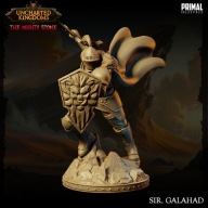 Knight Sir Galahad - CoE - figurka RPG DnD D&D - druk 3D 14K