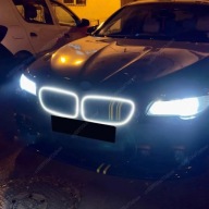 LED ATRAPA Kratka Grilla do BMW Serii 5 F10 F18 M5