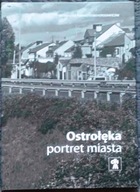 Ostrołęka portret miasta