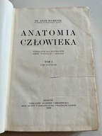 Adam Bochenek Anatomia Człowieka Tom I WYDANIE PIERWSZE 1909 r.