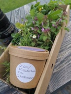 MIESZANKA ROBDET ZDROWE JELITA CZYŚCICIEL GOSPODARSTWO ROLNE 50g OCZYSZCZA