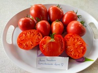 Pomidor Anna Russian plenne malinowe bawole serce nasiona kolekcjonerskie