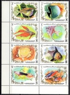 **892 AJMAN 1312-19 - RYBY