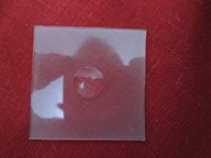 MATÓWKA DUŻA WYPUKŁA