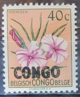 Kongo stary znaczek z nadrukiem (1/11