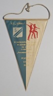 PROPORCZYK ZAWODY W JEŹDZIE FIGUR. NA LODZIE O NAGRODĘ POZN.KOZIOŁKÓW 1974