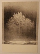 VII MIĘDZYNARODOWE BIENNALE GRAFIKI - KRAKÓW 1978, Polska - CZYSTA