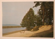 MALINÓWKA. Plaża nad jeziorem Leśmiady, CZYSTA