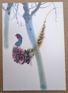 POCZTÓWKA - BAŻANT - MIRKO HANAK grafika autorska czeskiego artysty