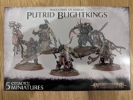 Warhammer Age of Sigmar Nurgle Rotbringers: Putrid Blightkings