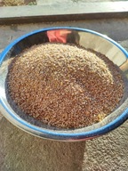 Mieszanka zbożowa pasza, śruta dla kur, kaczek itd. - 23kg