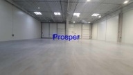 Magazyny i hale, Ruda Śląska, 998 m²