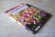 STORCZYKI UPRAWA I PIELĘGNACJA ROLLKE
