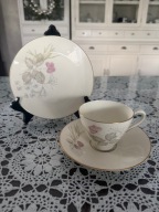 Zestaw śniadaniowy kawowy Rosenthal Bettina Pariser Fruhling