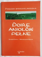 DOIRE ANIOŁÓW PEŁNE poezja staroirlandzka Bryll, Goraj