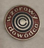 WZOROWY DOWÓDCA OBRONA CYWILNA ODZNAKA