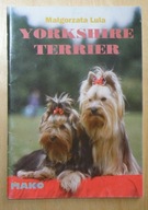 Małgorzata Lula - Yorkshire terrier