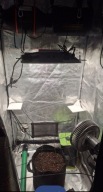 Growbox Spider Farmer zestaw do uprawy roślin