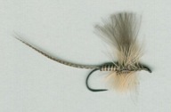 Sucha muszka GINGER QUILL CDC - #12;14