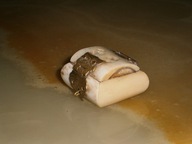 PUZDRO Z KOŚCI SZKATUŁKA KOŚCIANA HAND MADE