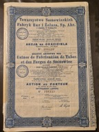 Towarzystwo Sosnowieckich Fabryk Rur i Żelaza SA1935r.akcja na 100zl