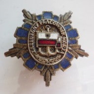 ZASŁUŻONY PRACOWNIK MORZA - odznaka resortowa (2)