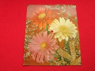 KUBICKA szczęście ma ludzką twarz POCZTÓWKA DŹWIĘKOWA 1974