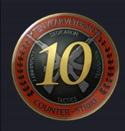 KONTO CS2 3000 GODZIN Z ODZNAKĄ 5 i 10 LAT SŁUŻBY PEŁEN DOSTĘP