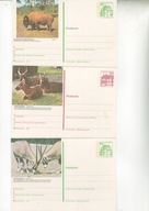 Ssaki-ciekawe kartki ilustrowane