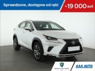 Lexus NX 300t, Salon Polska, 1. Właściciel