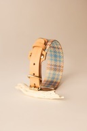 Zestaw spacerowy dla psa obroża ze skórą + smycz miejska Light Blue